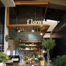 라플란드 이미지