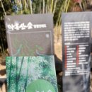 석길마을회관 이미지