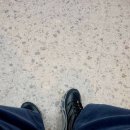 블랙캐슬 이미지