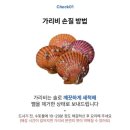 홍금동물병원 | [최가네바다 홍가리비] 12월 제철 해산물, 단맛 가득 살이 통통한 손질 세척 홍가리비 술찜🐚