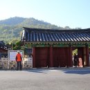 정암 조광조 선생 유배지 이미지