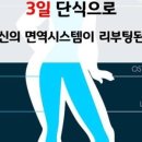 생체향