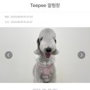 굿댕 이미지