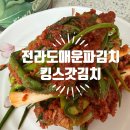 킴스 | 매운파김치 국내산 재료 사용 어디든 잘 어울리는 킴스갓김치 후기