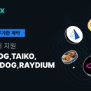 Dog&현 이미지