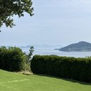 스테이청포 이미지