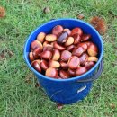 대한농장 이미지