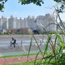 제1광장화장실 이미지