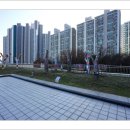 희망의 나무 休 이미지