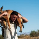 도그데일리 이미지