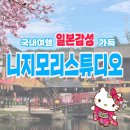 스튜디오평일 | 동두천 니지모리스튜디오 평일 방문 후기 | 국내여행추천