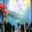 아쿠아리움 이미지