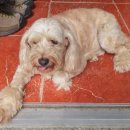 아람민박 이미지