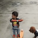 insolent insolvent indolent 1분안에 외우는법 개꿀팁 이미지