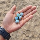 주문진게임장 | <2021 강릉 여행>오징어게임 현실판 세인트게임 참가 후기(Feat. 광탈)