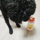 베이컨 주식회사 이미지