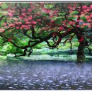 수봉문화회관 이미지