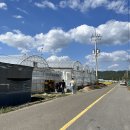 영신농장-1 이미지