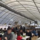 안계미나리농장 이미지