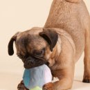 MIN 피트니스 이미지