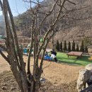 별빛 용계 스테이 이미지