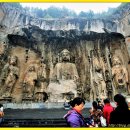 포사 카카오 검색결과