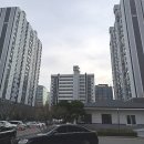 이매초교 뒤 | 분당 이매촌 한신 아파트 욕실 리뉴얼: 바닥 타일 보수부터 코너 선반 &amp; 줄눈 교체, 실리콘 교체 등...