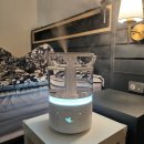 수도로5L | 케리프 복합식 가습기 추천 가열식 가습기 PRO 5L 완벽살균 실사용 후기