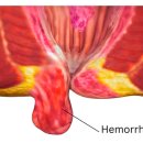 조남천항맥외과의원 이미지