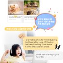 5분 카드 영어 3단계 말하기 - 단어 편 | 초등 영어 듣기 공부법, 매일 10분 루틴