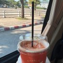 타이티 | 치앙마이 현지인 타이티 맛집 CHARLIE Thai Tea (ชาร์ลี, 찰리 타이티) 후기