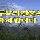 대성영상비디오테이프 | 광주 비디오 테이프 VHS 부모님 결혼식 영상 동영상 파일 복원 내돈내산