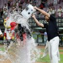 스타우트 이미지