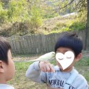 수곡초교 병설유치원 이미지