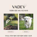 청소년 샴푸 추천 TOP!디렉터파이 극찬한 바디브 미오 샴푸 솔직후기