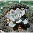 고은햇살 이미지