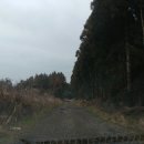 해림목장 이미지