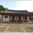 강진8호 이미지