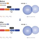 [금천구 미용실] 비비추헤어:OC에너지 디톡 두피해독 솔직후기