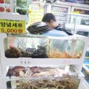 은주네식당 - 강진군 | 은주네식당