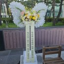 나비환경(주) 네이버블로그