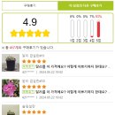 써니의베란다이야기