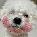 피톤골프 | 💚1년 동안 올리브영에 360만원 쓴 사람의 3월 세일 추천템-메이크업편