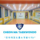 천마 태권스쿨 이미지