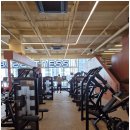 브로피트니스 복대점 이미지