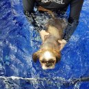 슬로우인 이미지