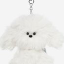 스튜디오미니테일 이미지