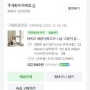 펫하임 강아지 고양이 | 타비오 | 베란다 펫도어 내돈내산 설치 후기, 강아지 고양이 견문 추천