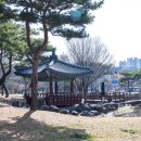 동춘당공원 | 대전 매화 명소 가볼만한곳 동춘당공원 봄꽃여행 산책하기좋은곳