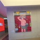 더유스의원 | 남자브라질리언제모 고민, 강남유스타일9의원에서 경험한 현실 후기